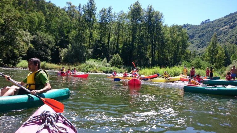 Grupo de personas en kayaks con chalecos salvavidas remando por un río rodeado de árboles y vegetación.